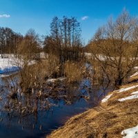 Вешние Воды 4 :: Андрей Дворников