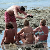 "Внимание! Сейчас вылетит птичка!" :: Сергей Сомихин