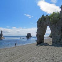 В бухте мыса Птичий :: ИРЭН@ .