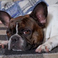 Матильда :: Александр Гапоненко