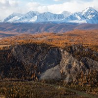 ***** :: владимир 