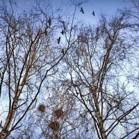 "К родным местам. Возвращение"© :: Владимир Макаров