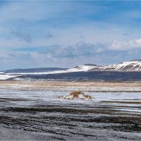 *** :: Алексей Мезенцев