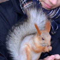 В перке :: Savayr 