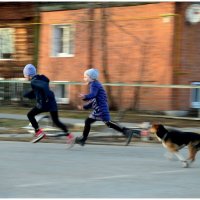 Кто быстрее? :: Михаил К