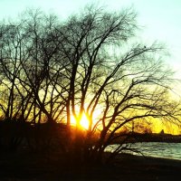 Весенний закат :: Aida10 