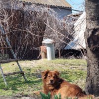 Ежеминутная служба :: Наталья 