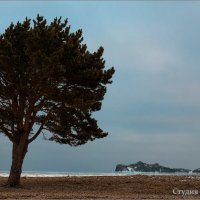 Дерево и остров :: Студия фотографии