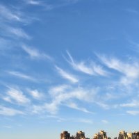 .... :: Андрей 