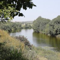 На Дону :: ZNatasha -