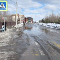 Тепло пришло в Сибирь :: Андрей Макурин