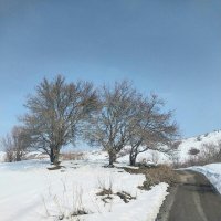 Ak Bulak.  Talgar. :: Murat Bukaev 