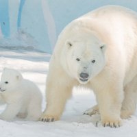 Герда с малышом. :: Аркадий Лаптенко