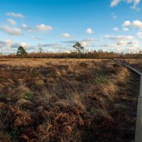 По тропе... :: Николай Гирш