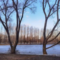 Весенние зарисовки. Весна в парке Победы. :: Лилия *