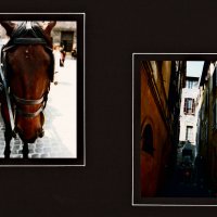 Рим, город и люди - 67 :: Алексей Кузнецов