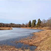 Глухое озеро :: Лия ☼