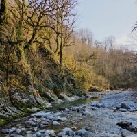 СОЛОХ АУЛ. МАРТ :: Tata Wolf