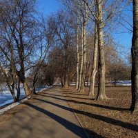 На обитаемом острове :: Андрей Лукьянов