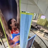 Лестница в Лужниках :: ИРЭН@ .