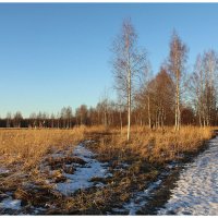 *** :: Aleksandr Gal