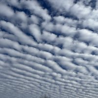 Облака :: Ольга Савельева Облака :: Ольга Савельева