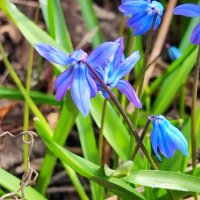 ,,, :: Сергей Тимоновский