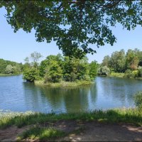 Гатчина! :: Надежда 