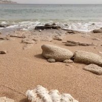 Египет. Берег Красного моря :: Ирэн 