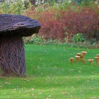 .. почти настоящие грибы на полянке.. :: galalog galalog