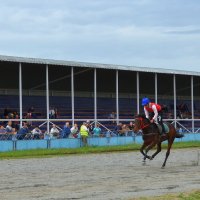 На ипподроме :: Мишель71 