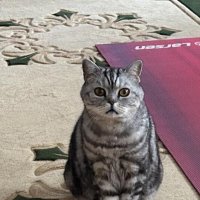 Мой дом :: Венера Чуйкова