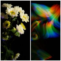 Цветочек и его душа :: Илья Шенгелия