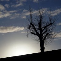 На рассвете :: Сергей Порфирьев