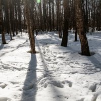 Весна в парке Малевича.. :: Юрий Яньков