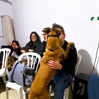 РАЗГОВОР   ТЕТ - А - ТЕТ :: Анатолий Малобродский