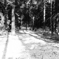 Мечты о ч/б Лейке 72. :: Михаил Елочкин