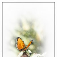 *  *  * :: Андрей Бобин