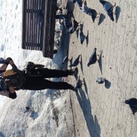 Настоящая и взаимная любовь :: Андрей Лукьянов