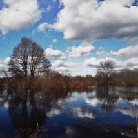 Красота весны :: Людмила Смородинская