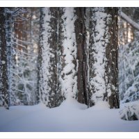 * :: Александр Иванов