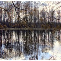 *** :: Aleksandr Gal