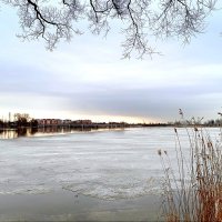 Мартовские зарисовки :: Мария Васильева