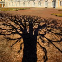 *** :: Сергей Григорьев