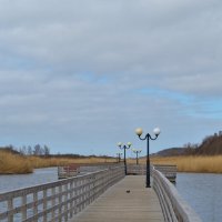 *** :: Константин Белоногов