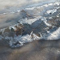 Мартовский натюрморт :: Сергей Курников