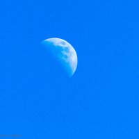 Вчера луну пострелял на 70-300. :: Андрей Андрианов