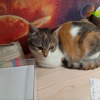 *** :: Андрей Л. В.