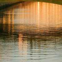 вечерние отражения :: Андрей Литов