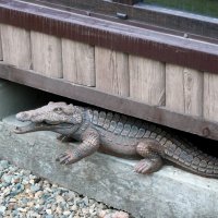 Охранник бани. :: Alexey YakovLev